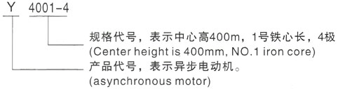 西安泰富西玛Y系列(H355-1000)高压YJTFKK5003-2三相异步电机型号说明